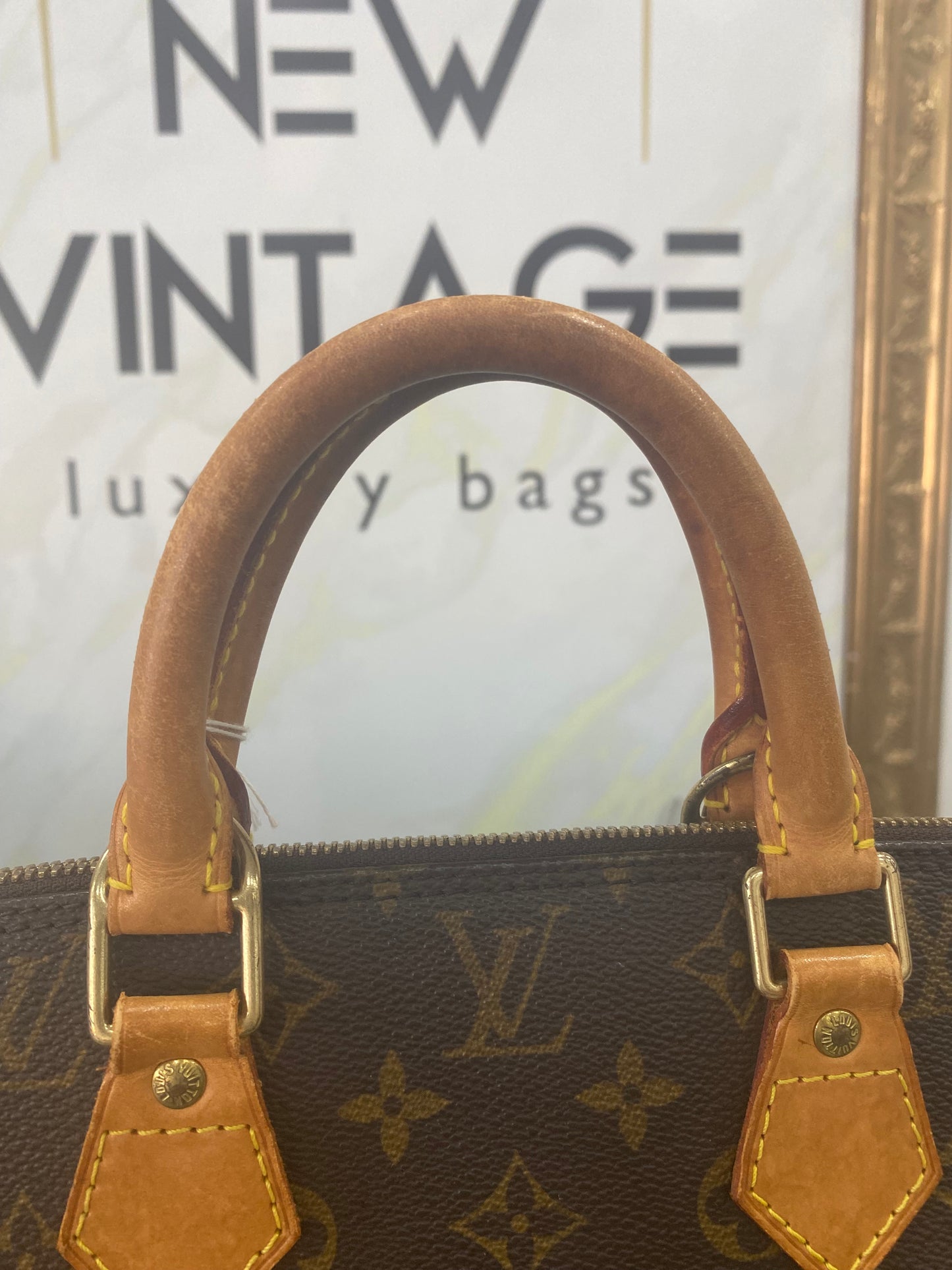 Louis Vuitton Alma PM
