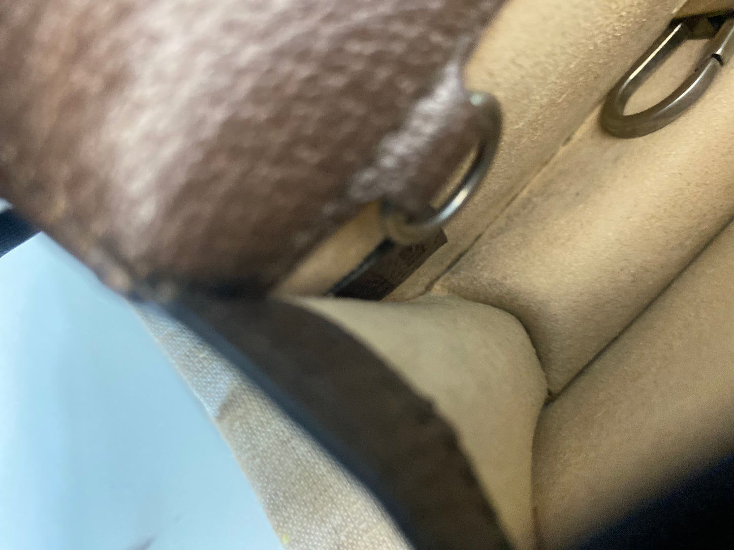 Gucci Dionysus Mini