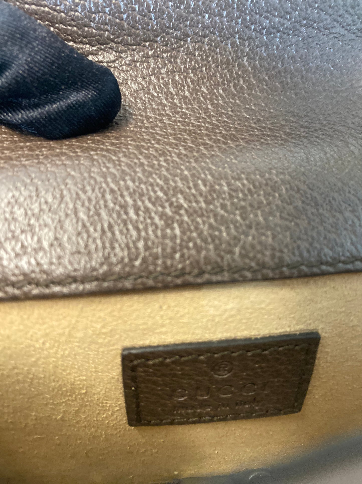 Gucci Dionysus Mini