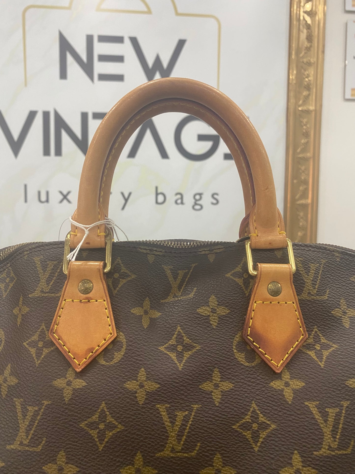 Louis Vuitton Alma PM