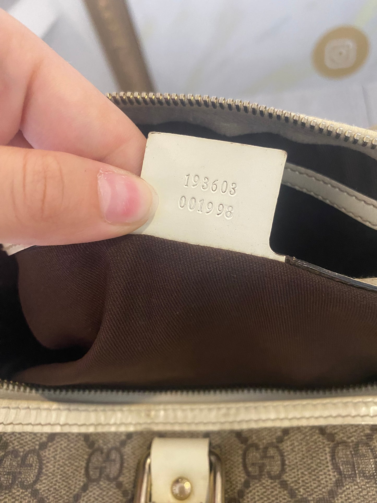 Boston Gucci