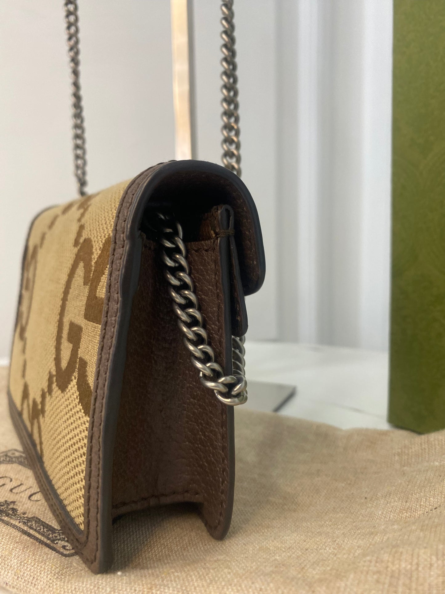 Gucci Dionysus Mini