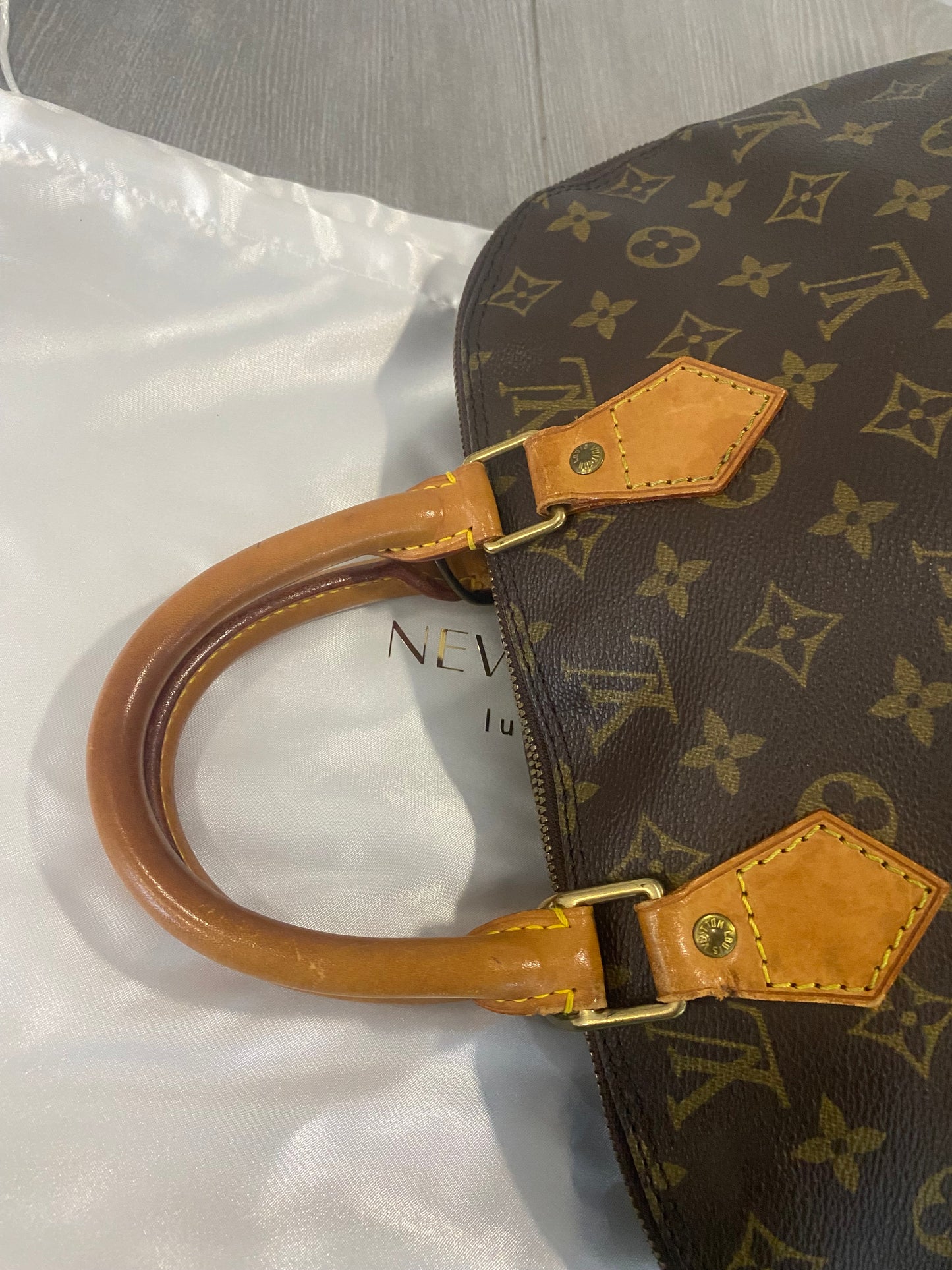 Louis Vuitton Alma PM