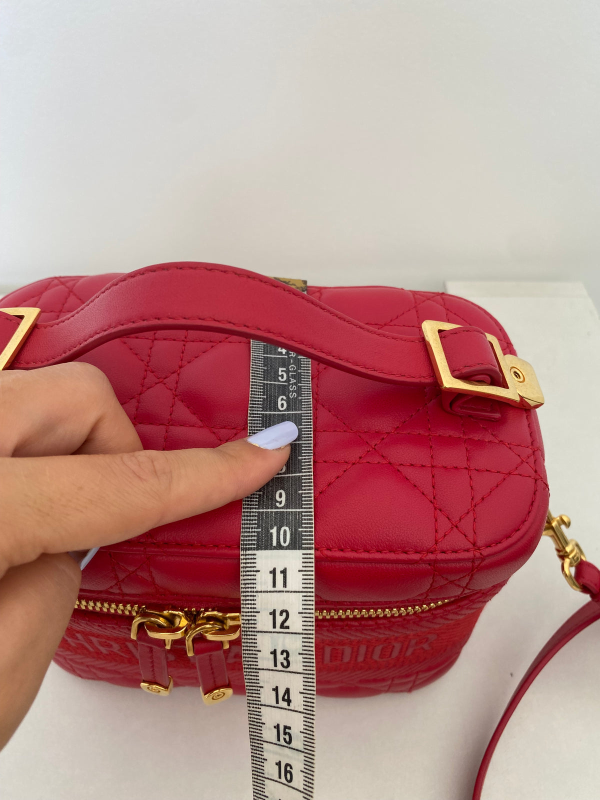 Borsa Dior Vanity Case