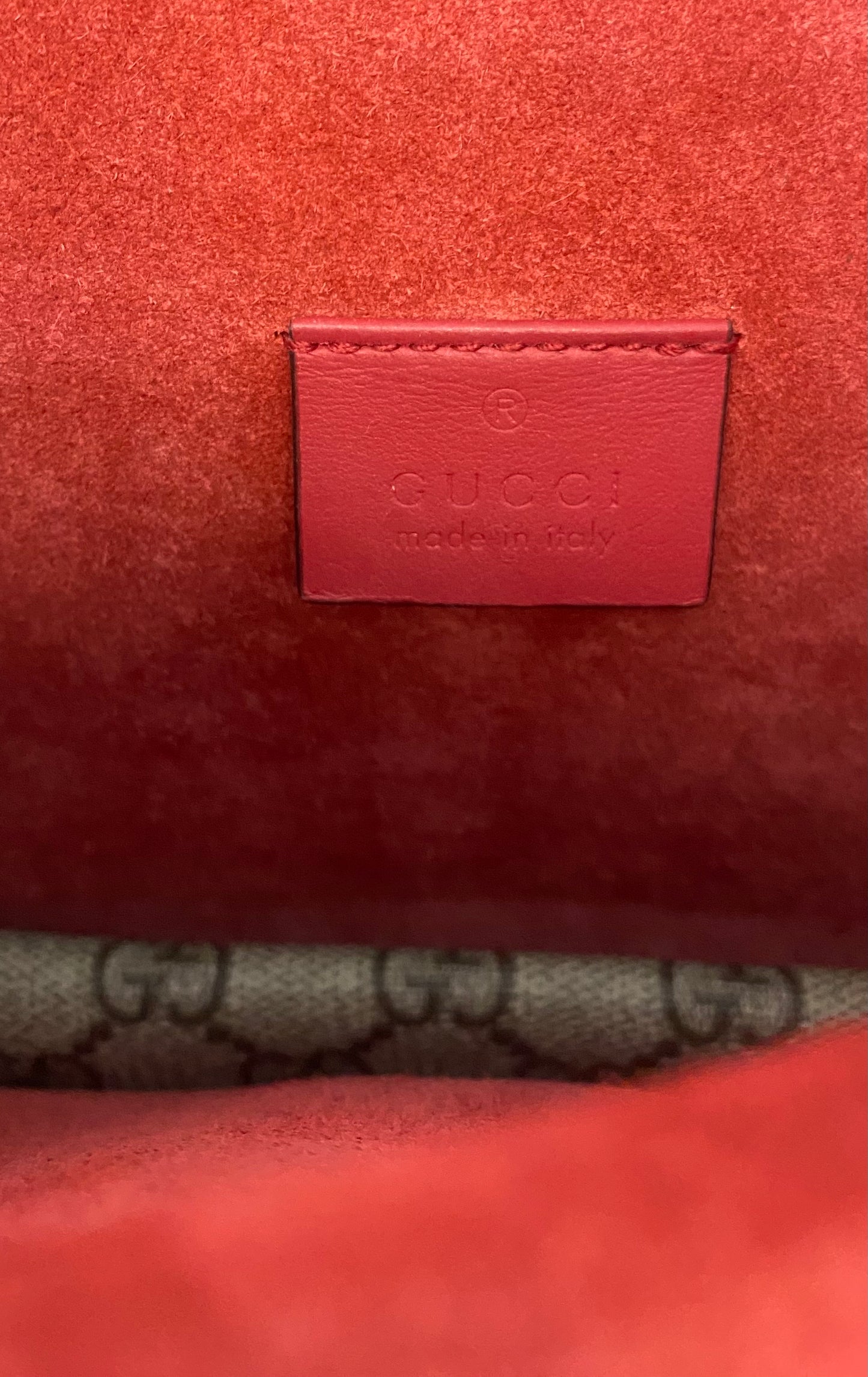 Gucci Dionysus Piccola