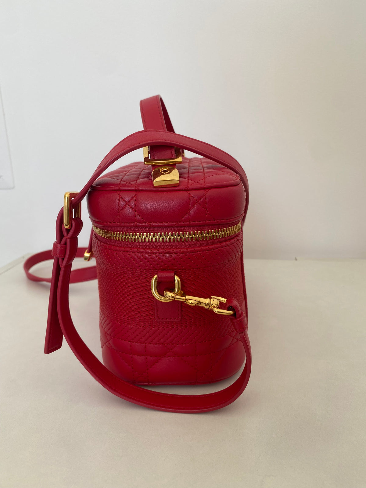 Borsa Dior Vanity Case