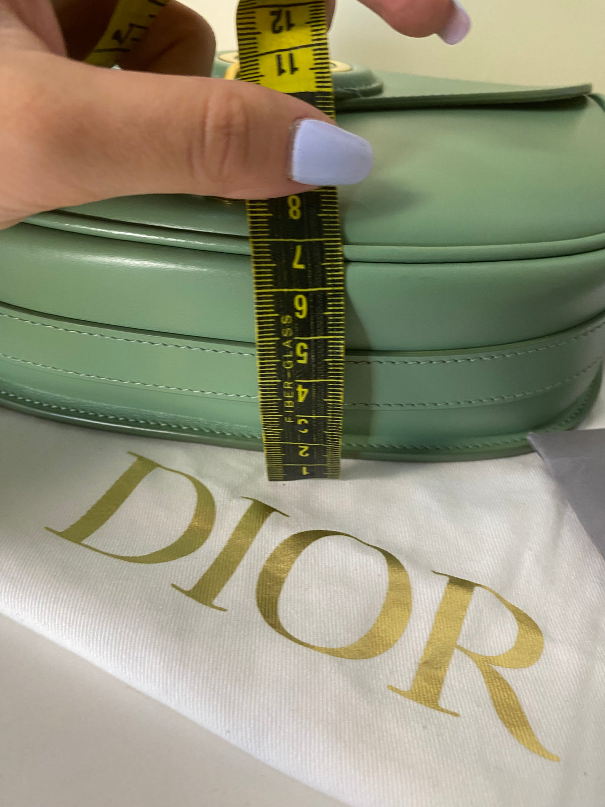 Borsa Christian Dior Bobby
