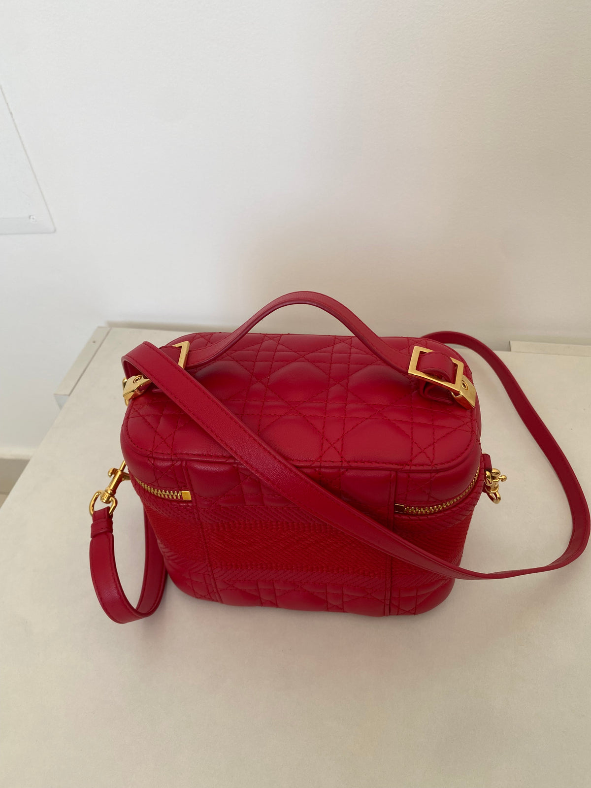 Borsa Dior Vanity Case