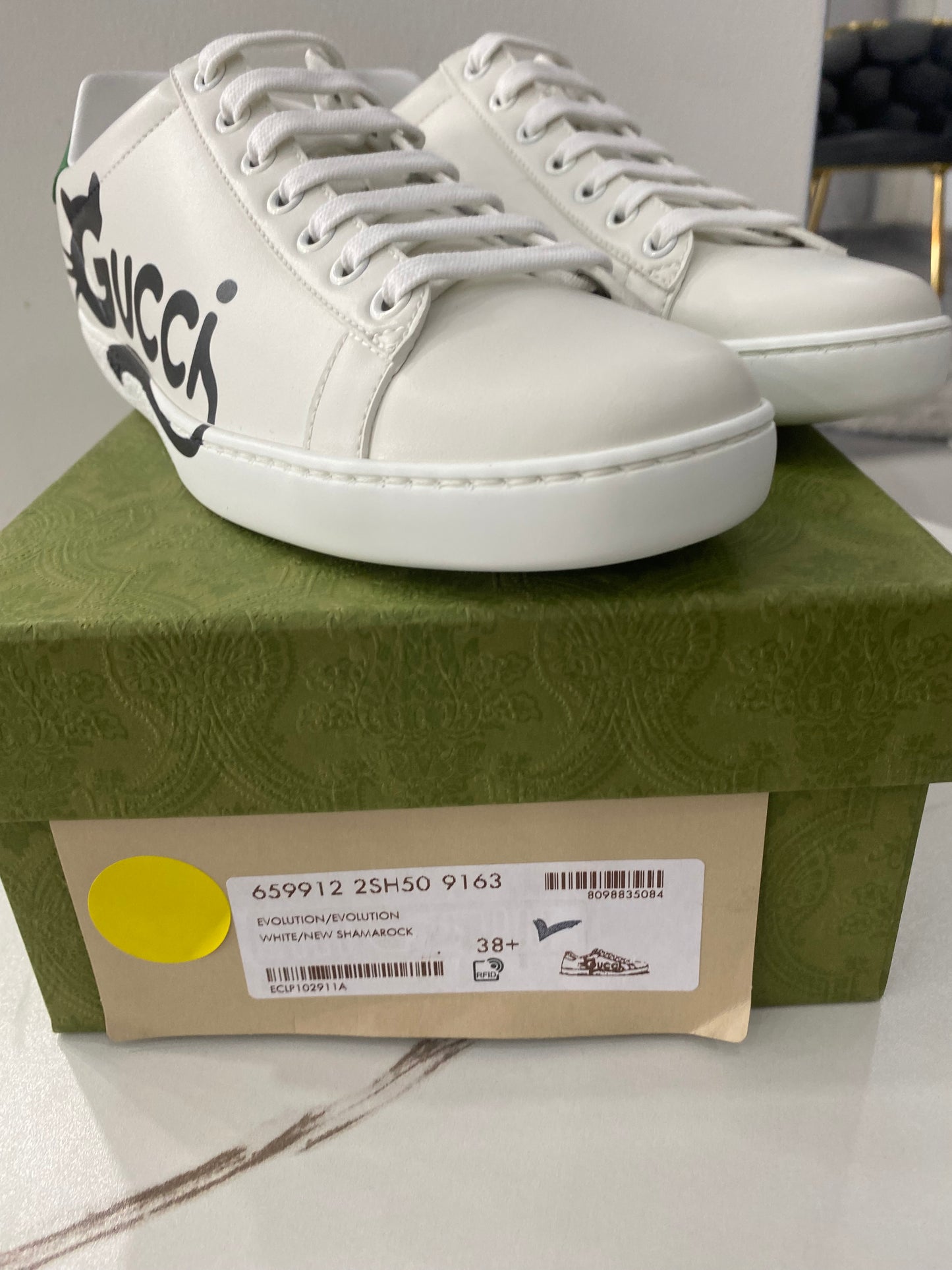 Sneaker Gucci Cat
