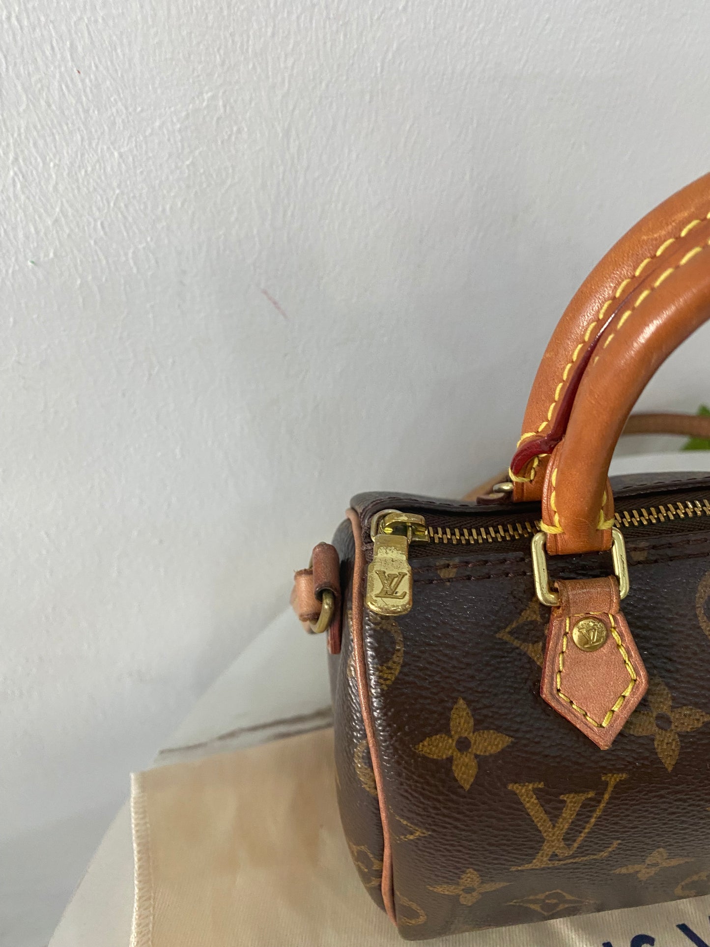 Borsa Louis Vuitton Nano Speedy