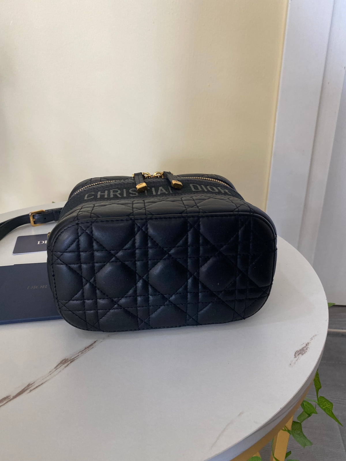 Borsa Dior Vanity Case