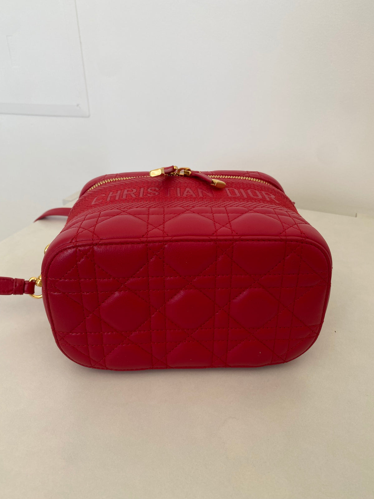 Borsa Dior Vanity Case
