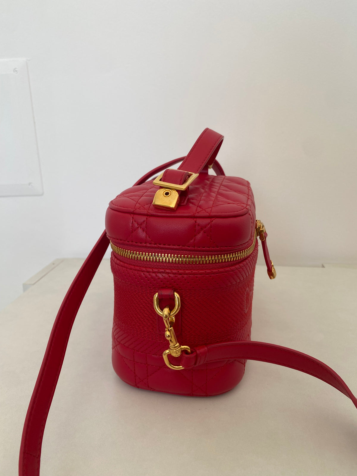 Borsa Dior Vanity Case