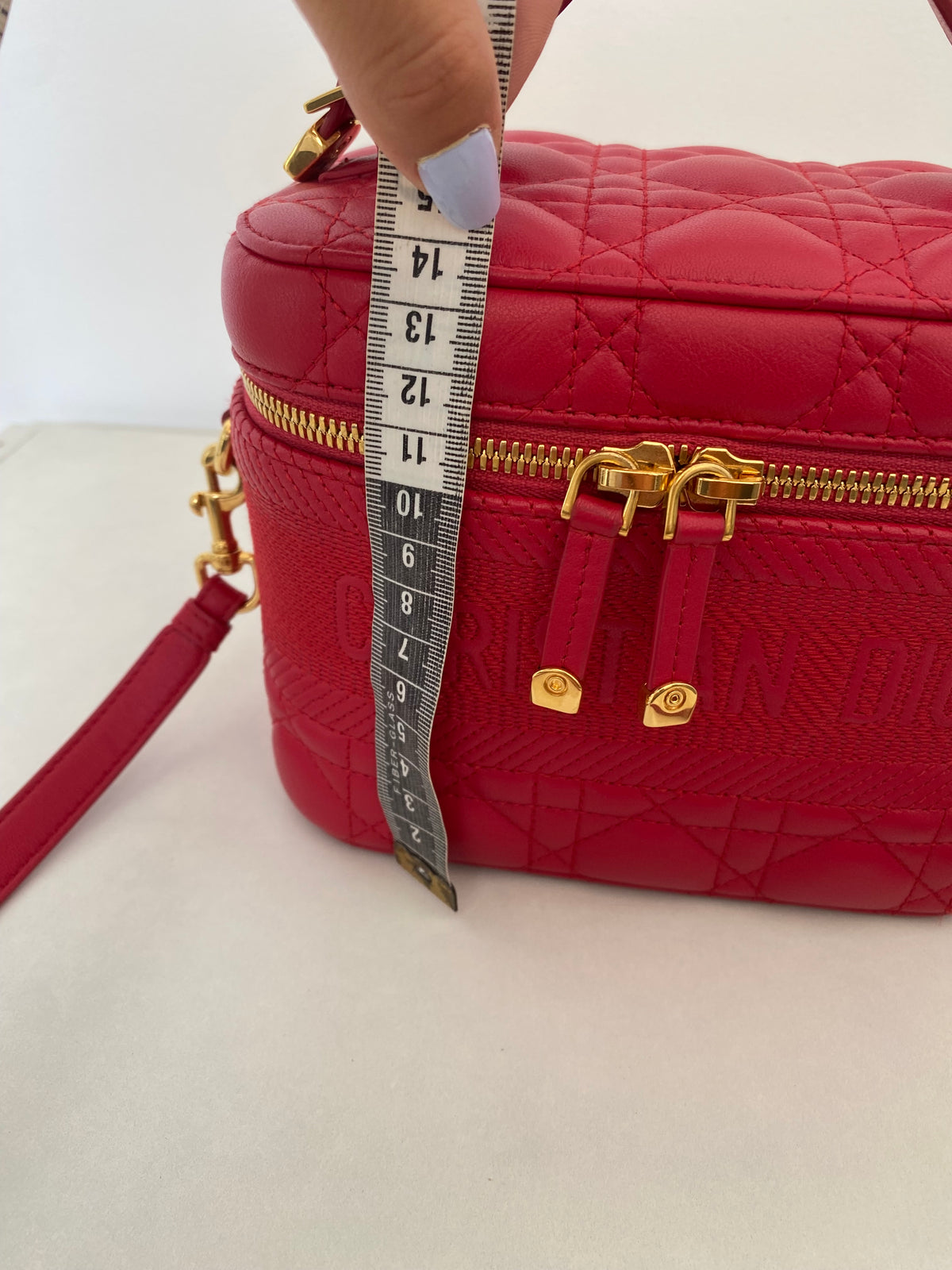 Borsa Dior Vanity Case