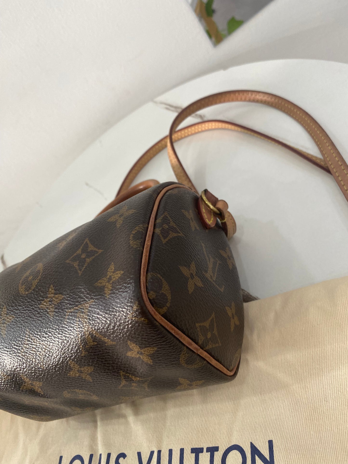 Borsa Louis Vuitton Nano Speedy