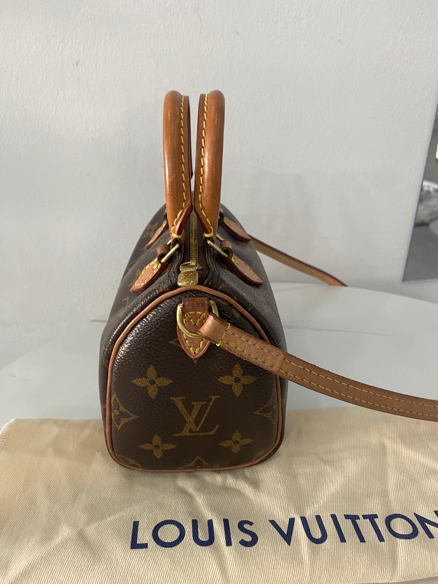 Borsa Louis Vuitton Nano Speedy