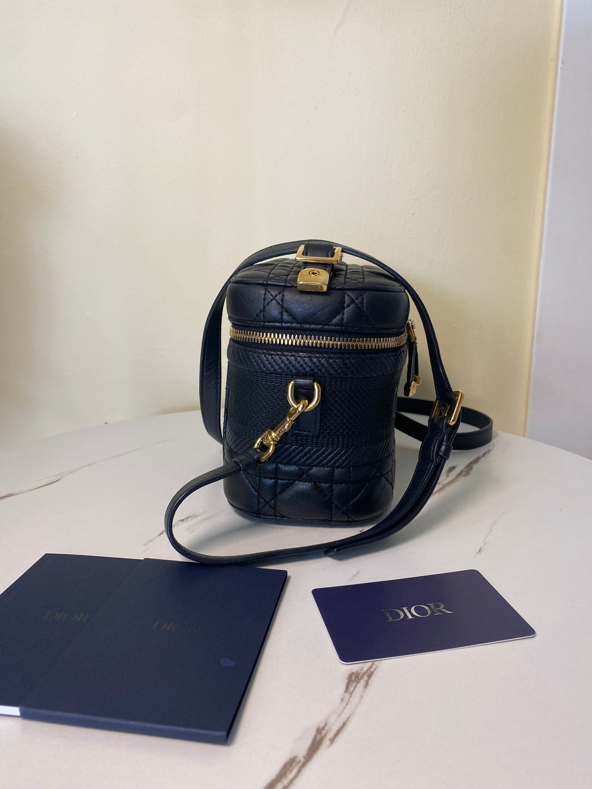 Borsa Dior Vanity Case
