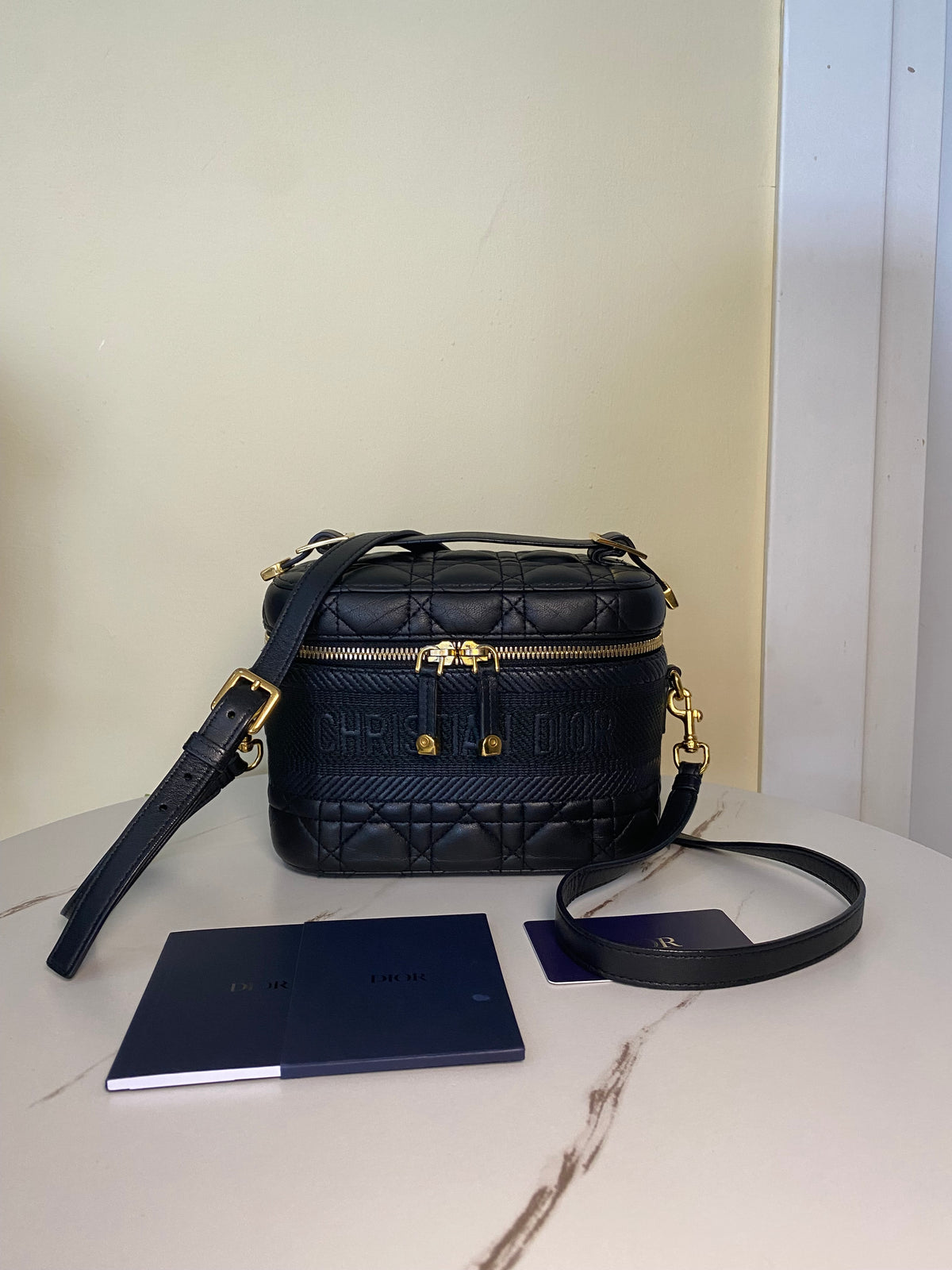 Borsa Dior Vanity Case