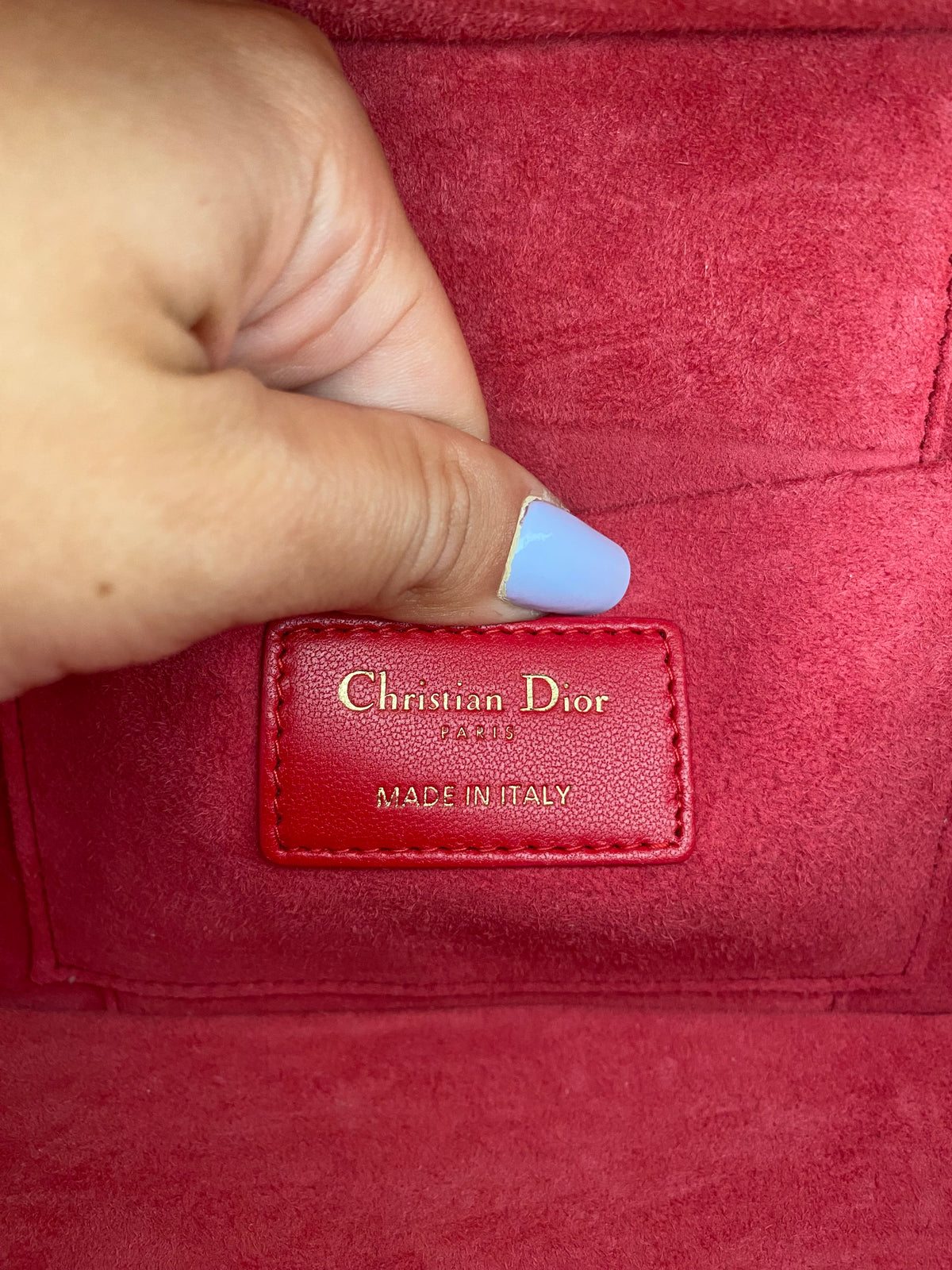 Borsa Dior Vanity Case