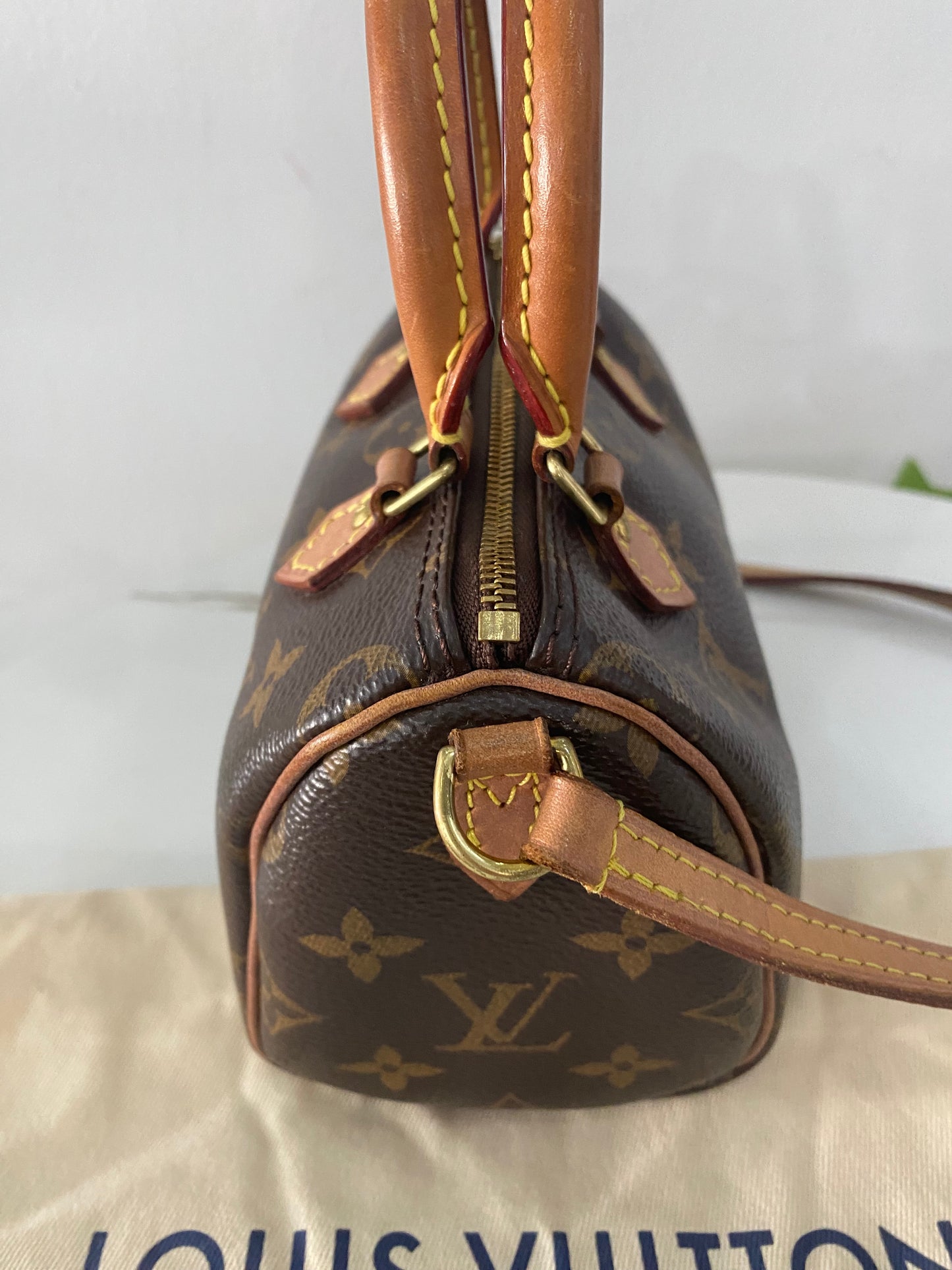 Borsa Louis Vuitton Nano Speedy