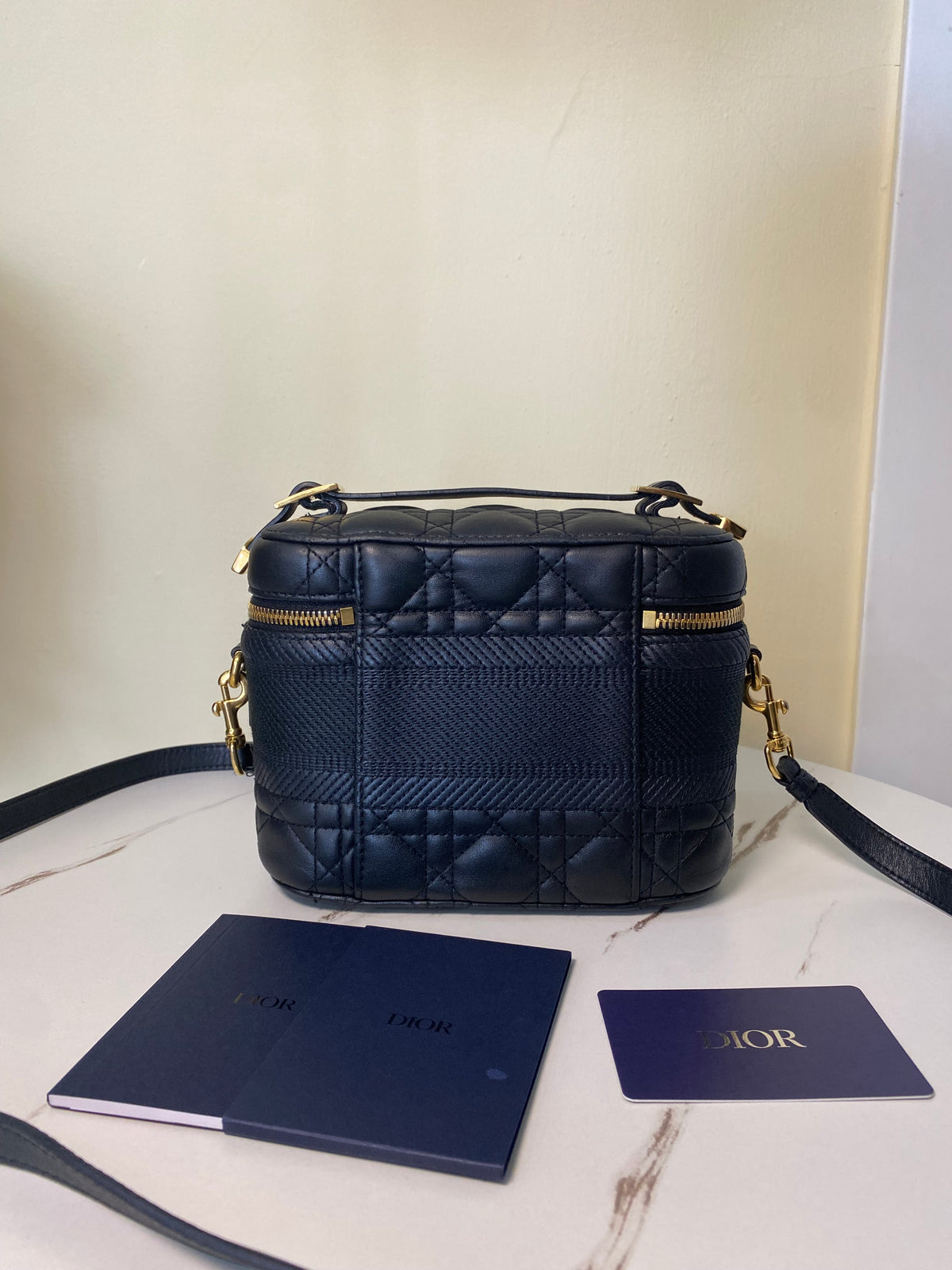 Borsa Dior Vanity Case