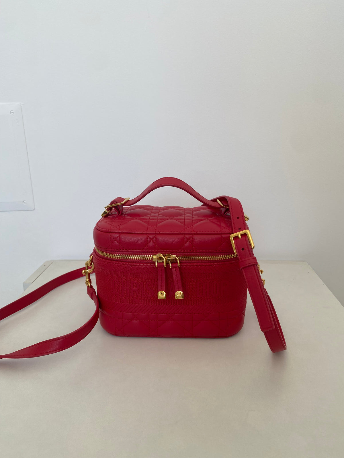 Borsa Dior Vanity Case