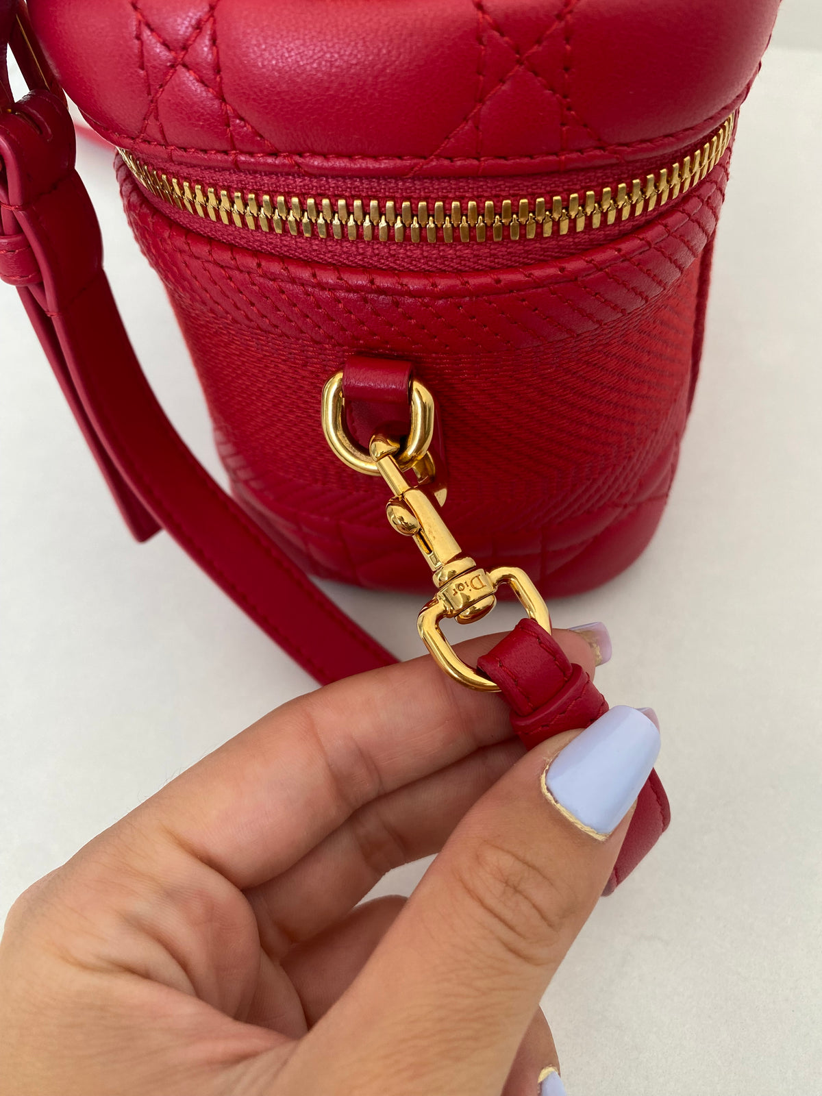 Borsa Dior Vanity Case