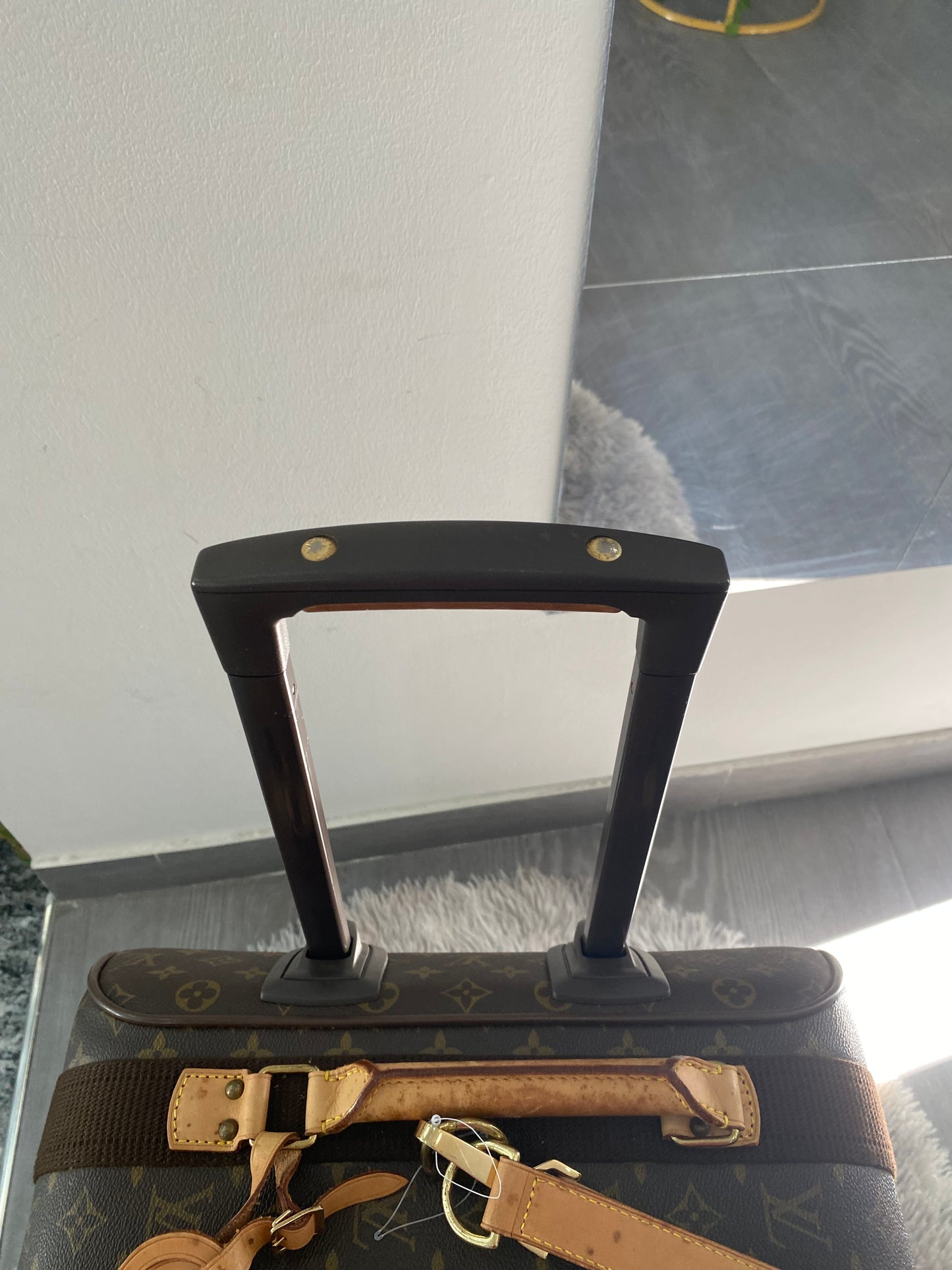 Valigia Louis Vuitton Pegase 55