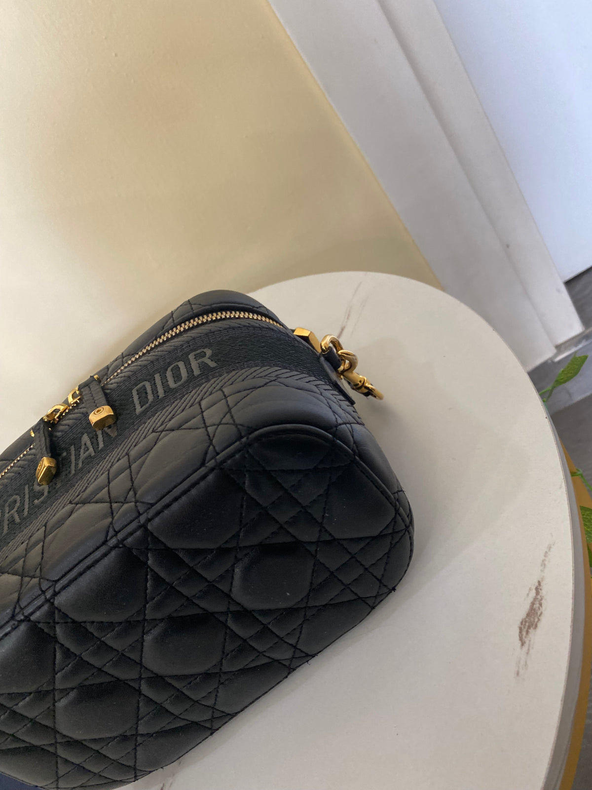 Borsa Dior Vanity Case
