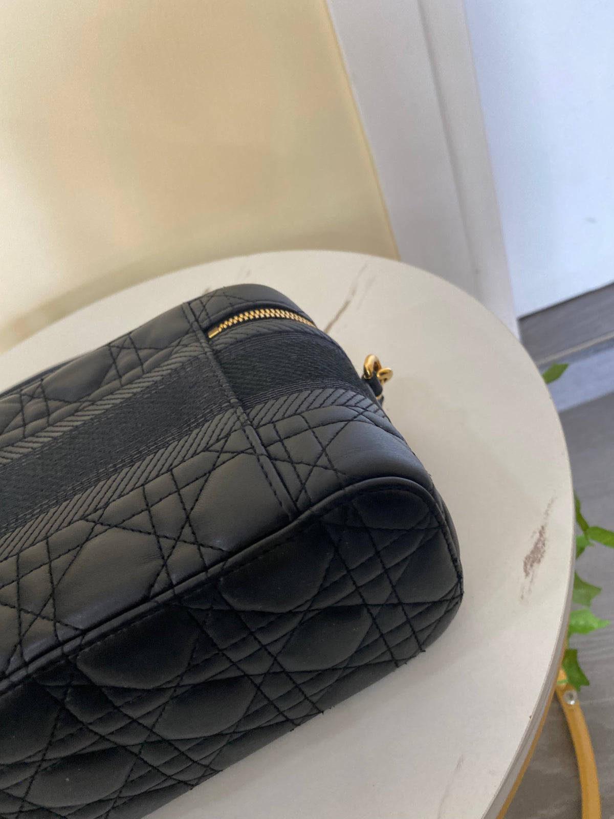 Borsa Dior Vanity Case