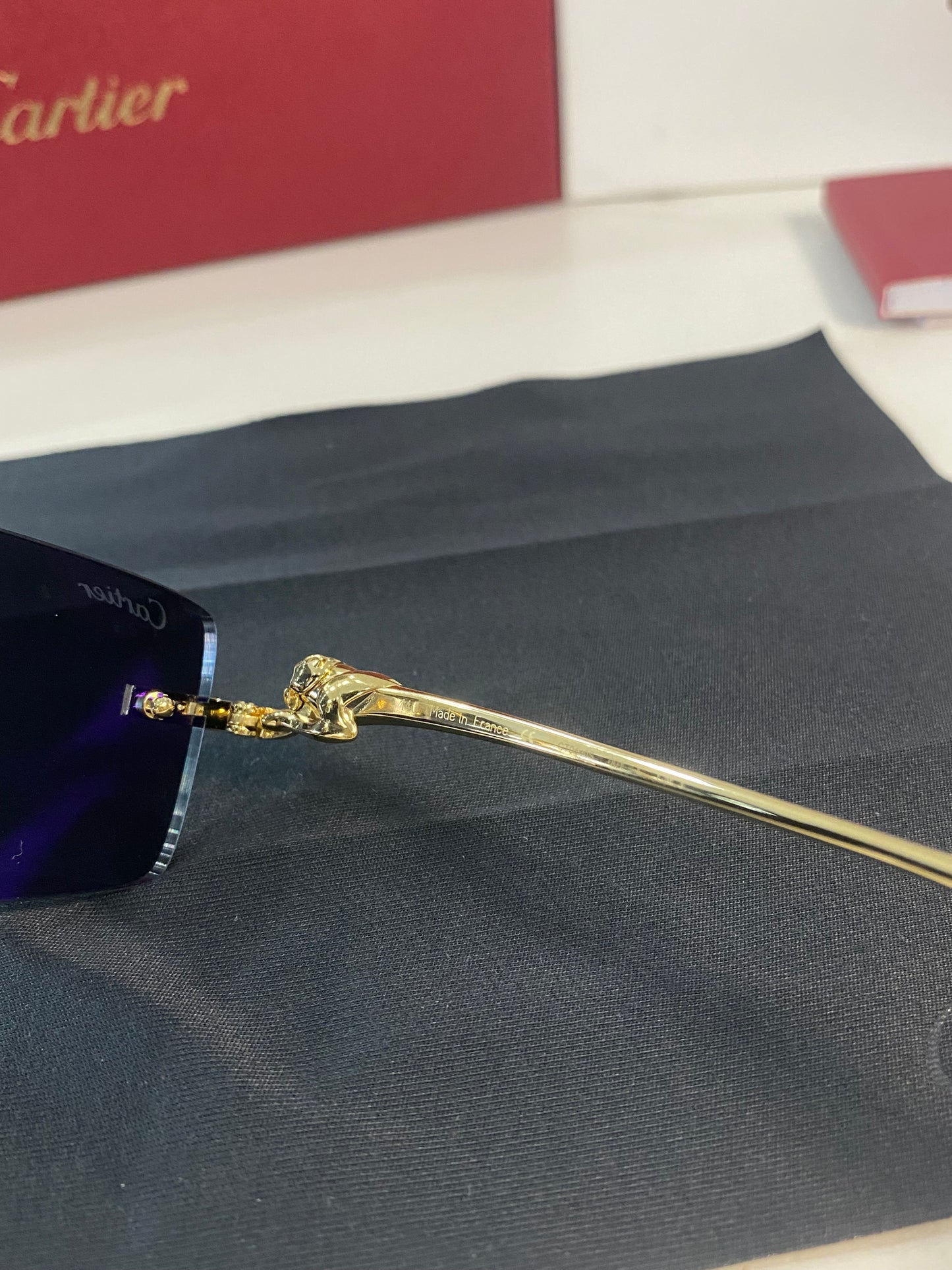 Occhiali da sole Cartier CT0430S