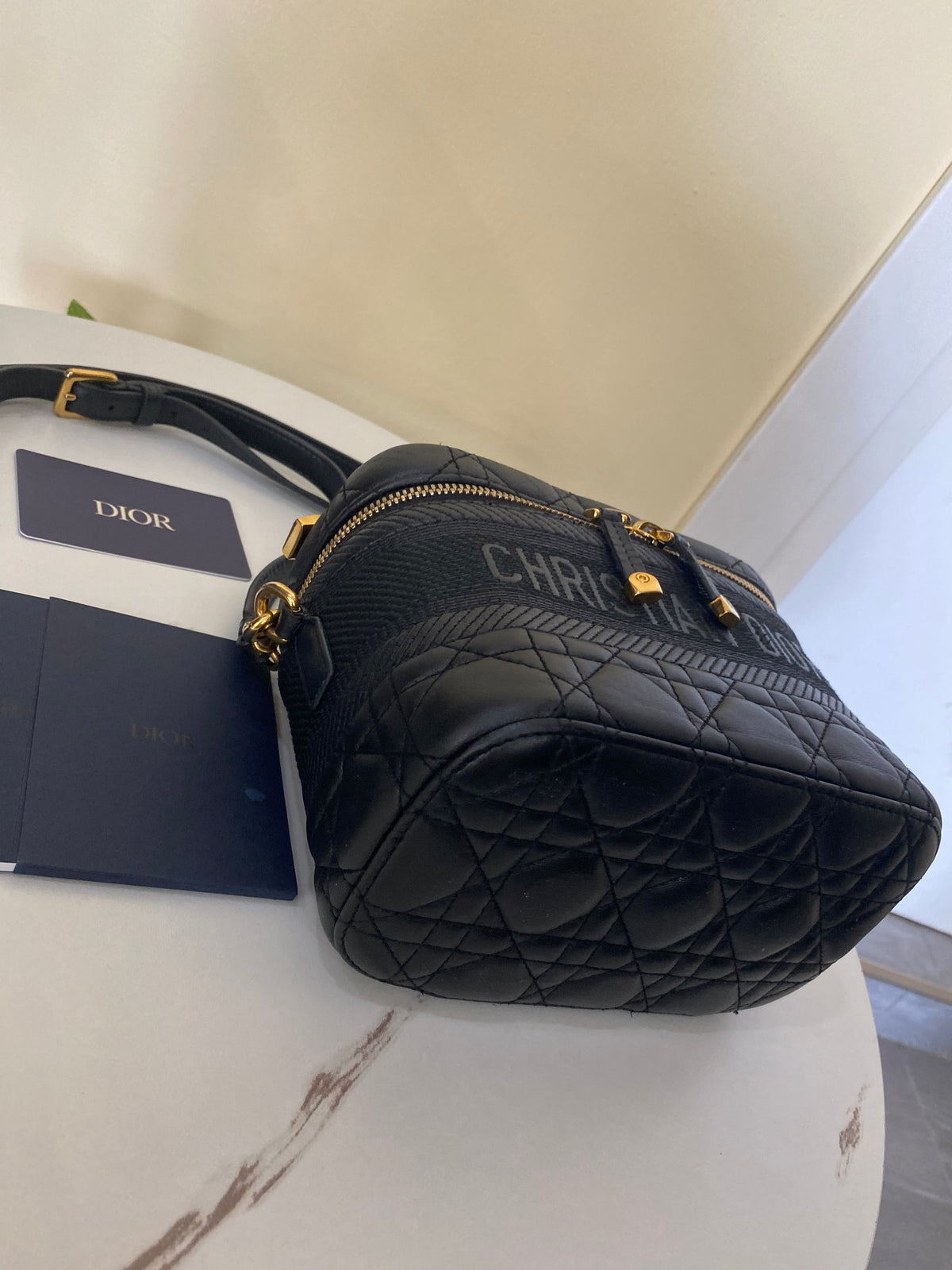 Borsa Dior Vanity Case