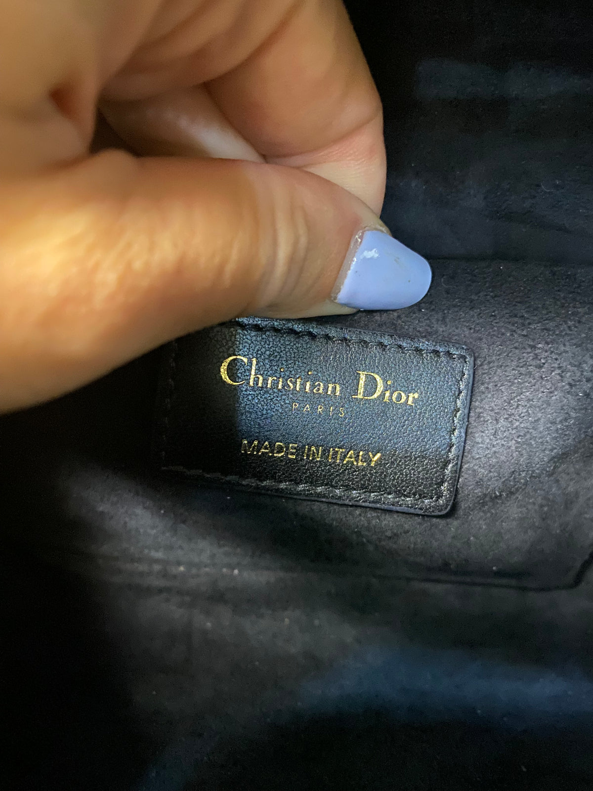 Borsa Dior Vanity Case