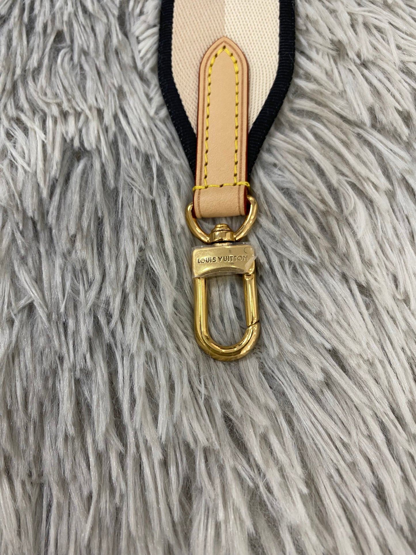 Tracolla Louis Vuitton