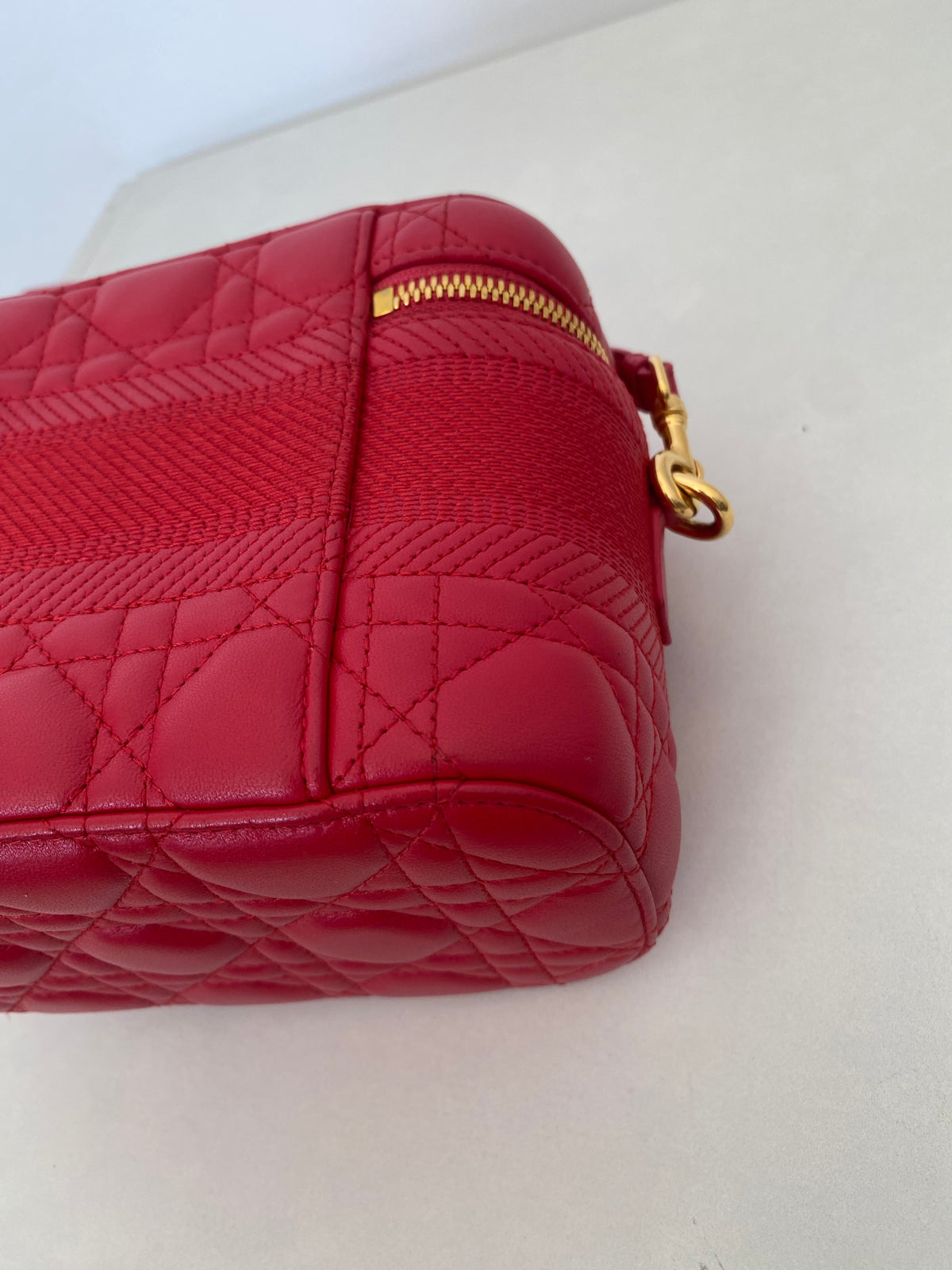 Borsa Dior Vanity Case