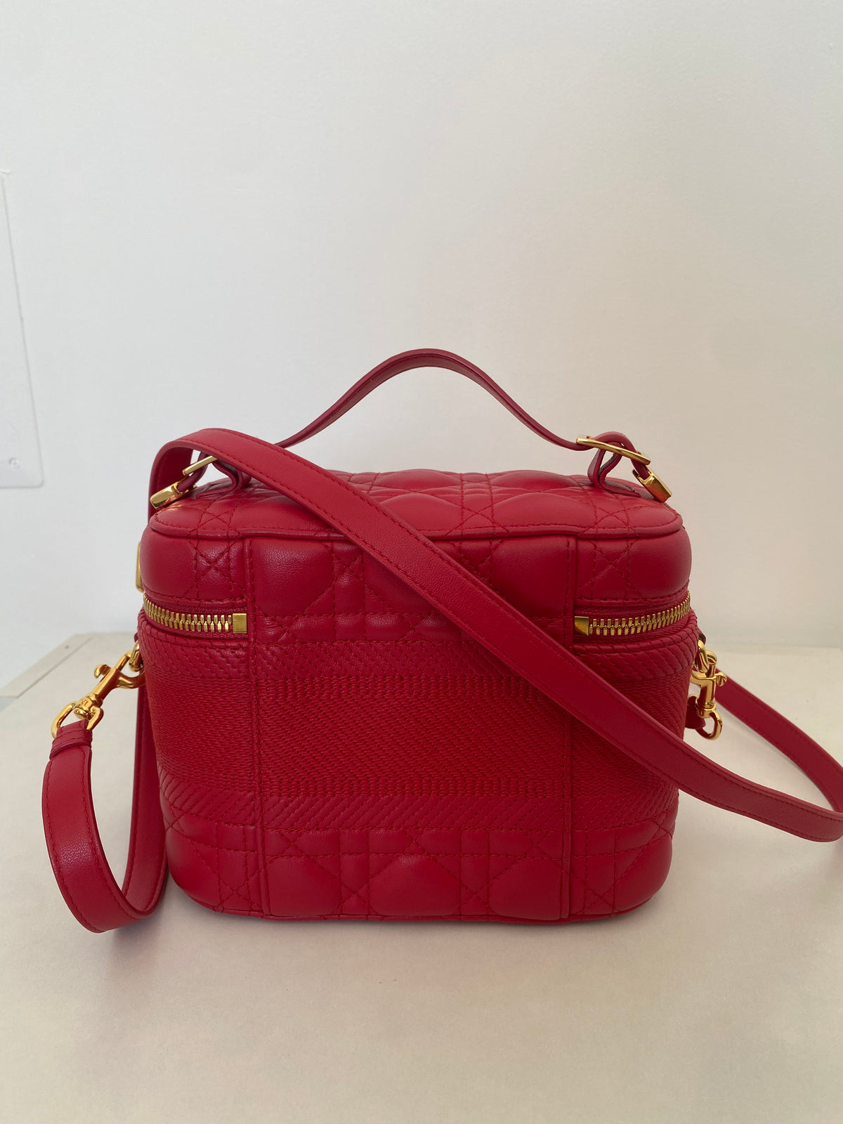 Borsa Dior Vanity Case