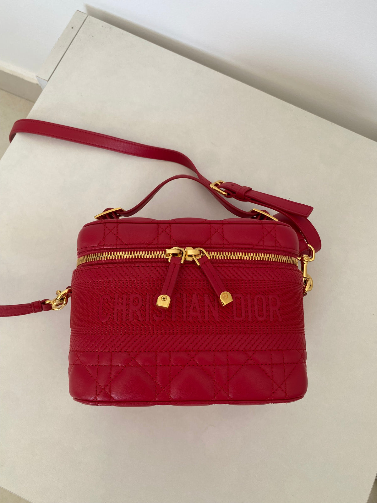 Borsa Dior Vanity Case