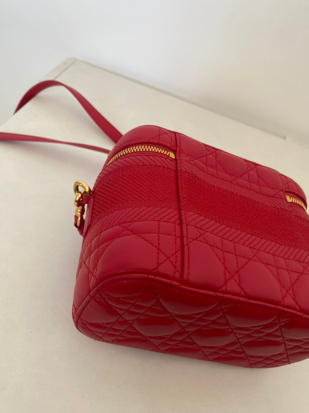 Borsa Dior Vanity Case