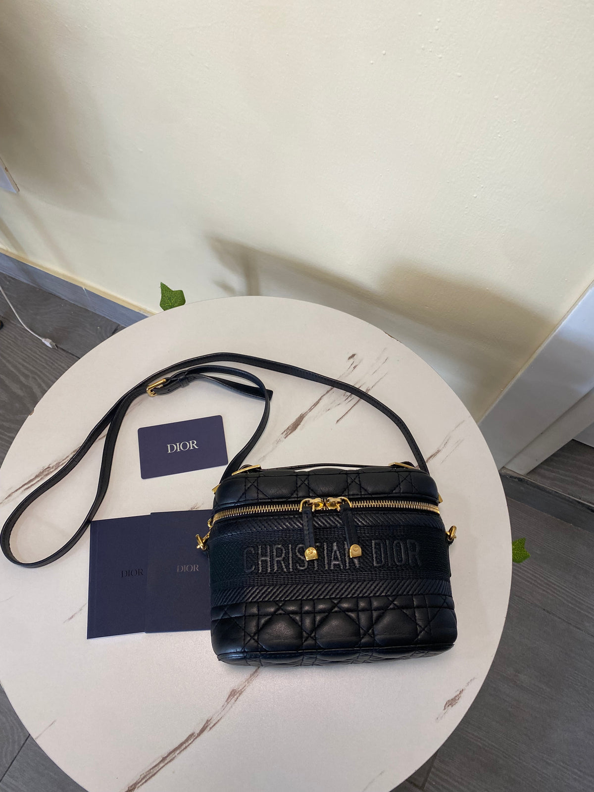 Borsa Dior Vanity Case