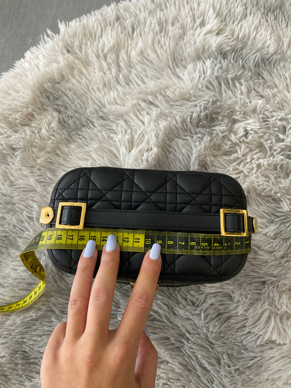 Borsa Dior Vanity Case