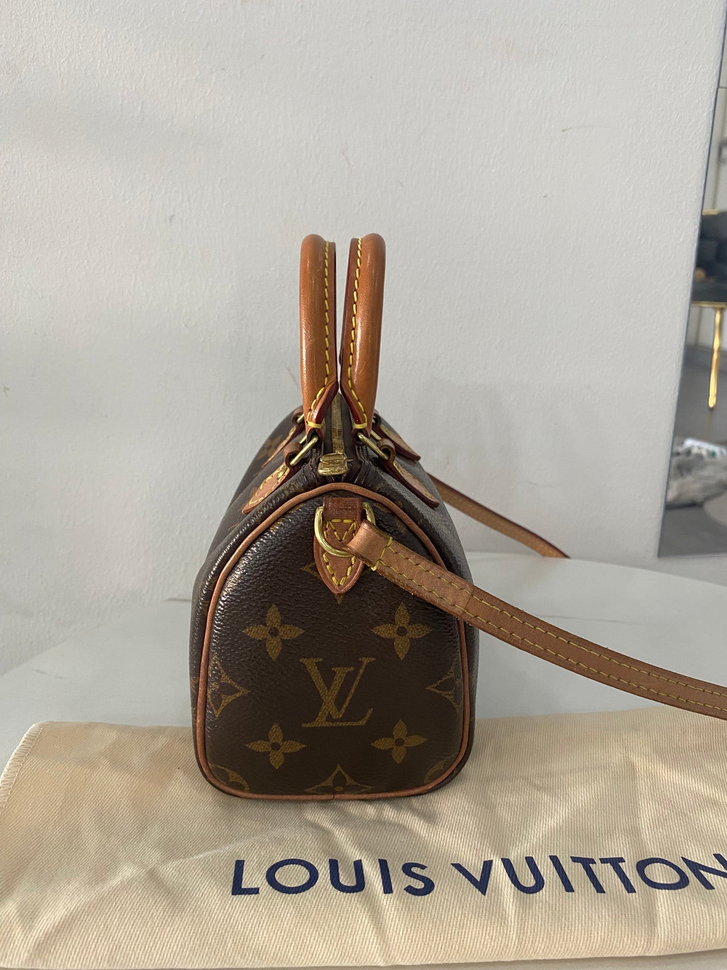 Borsa Louis Vuitton Nano Speedy