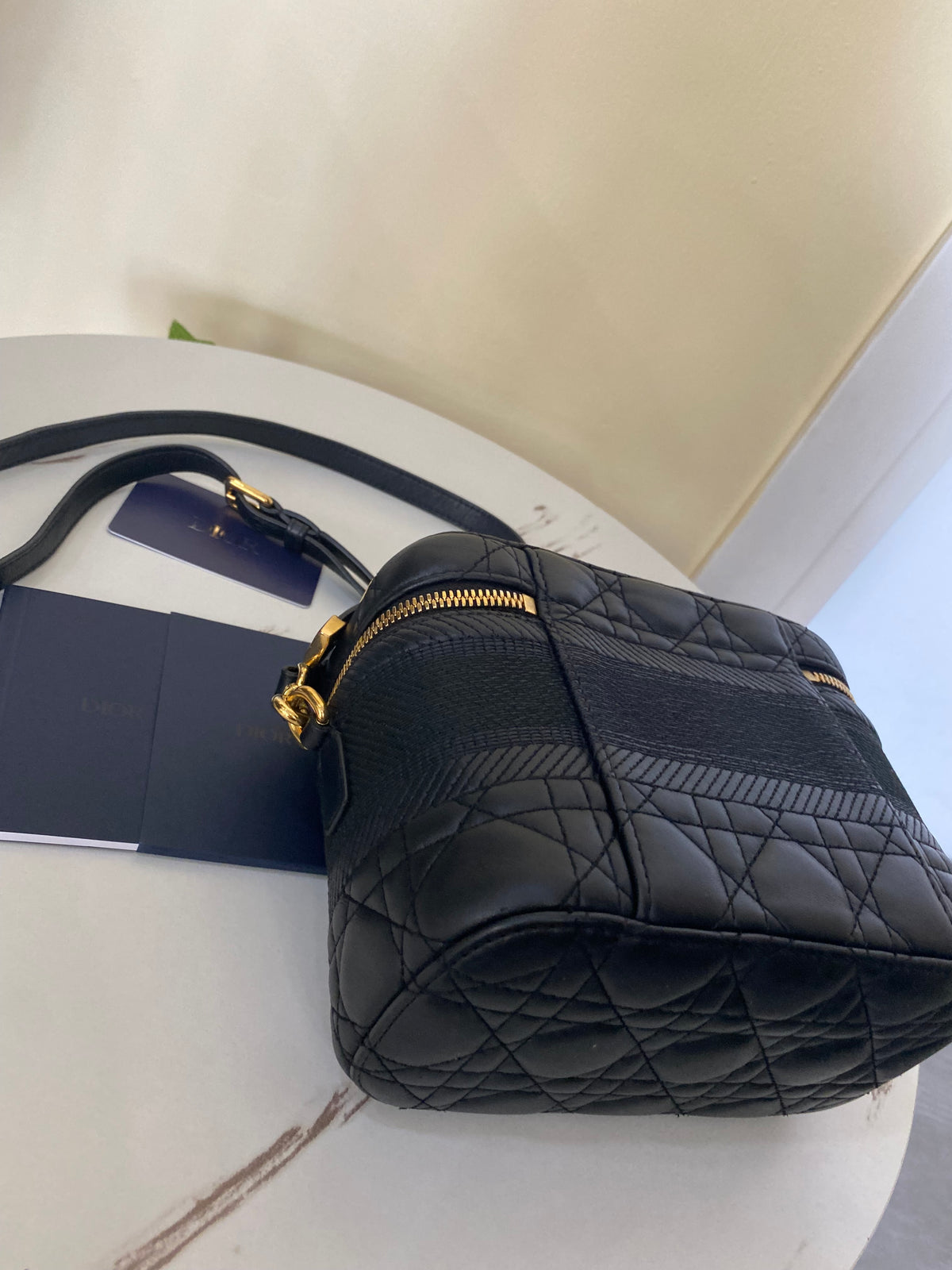 Borsa Dior Vanity Case