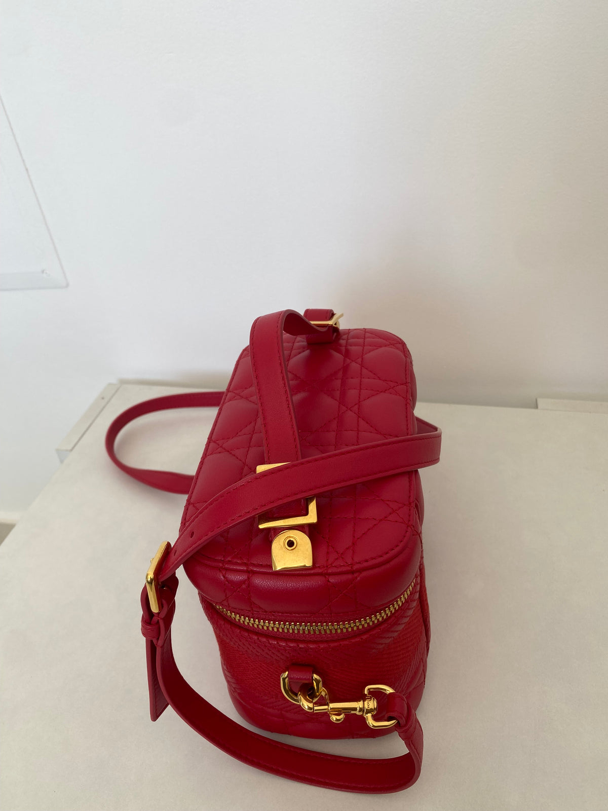 Borsa Dior Vanity Case