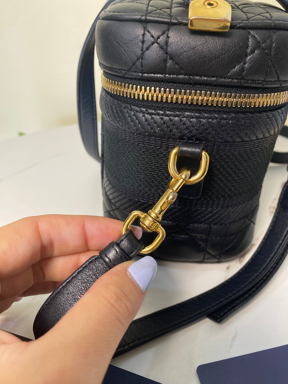 Borsa Dior Vanity Case