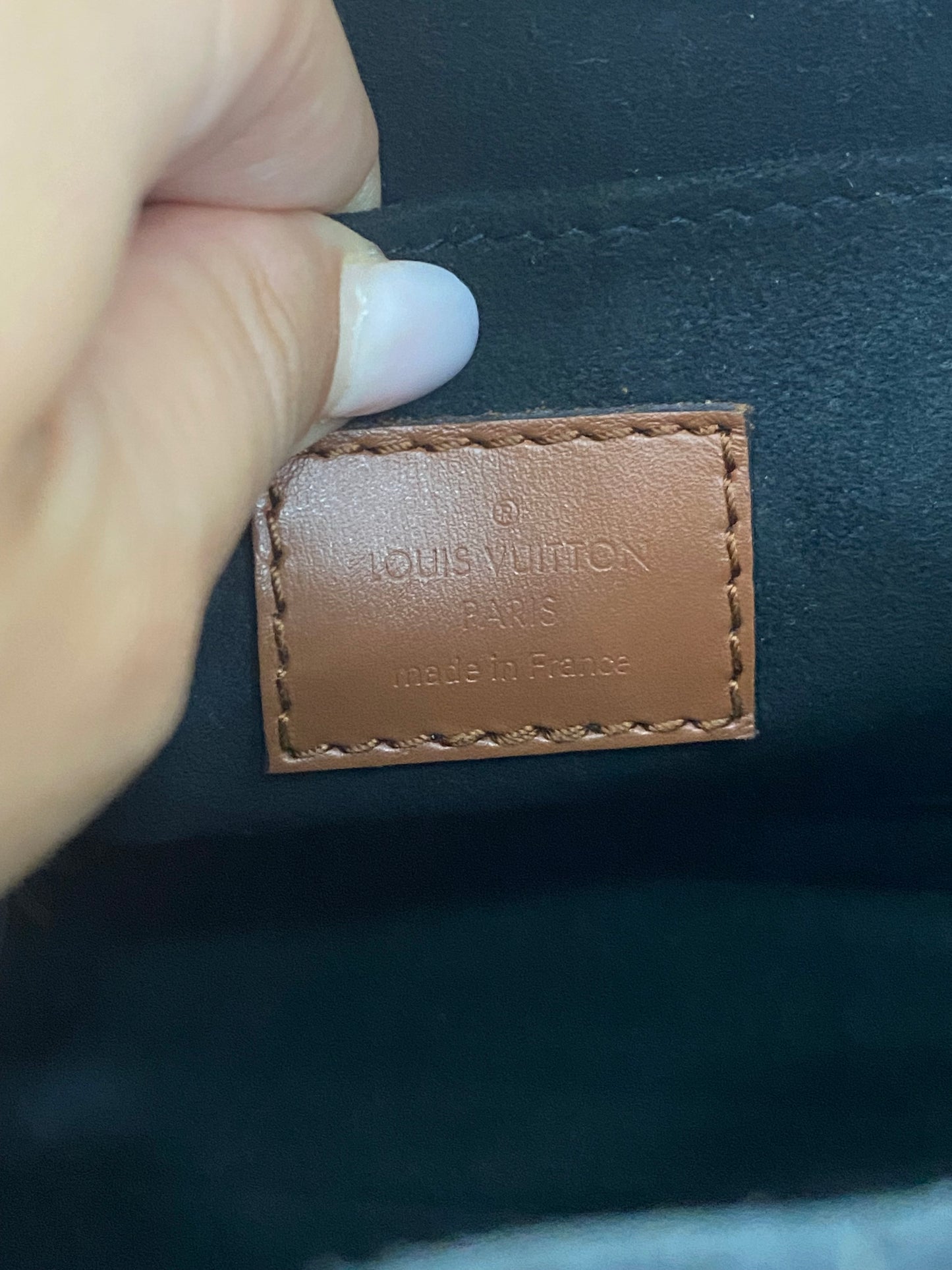 Borsa Louis Vuitton Dauphine MM