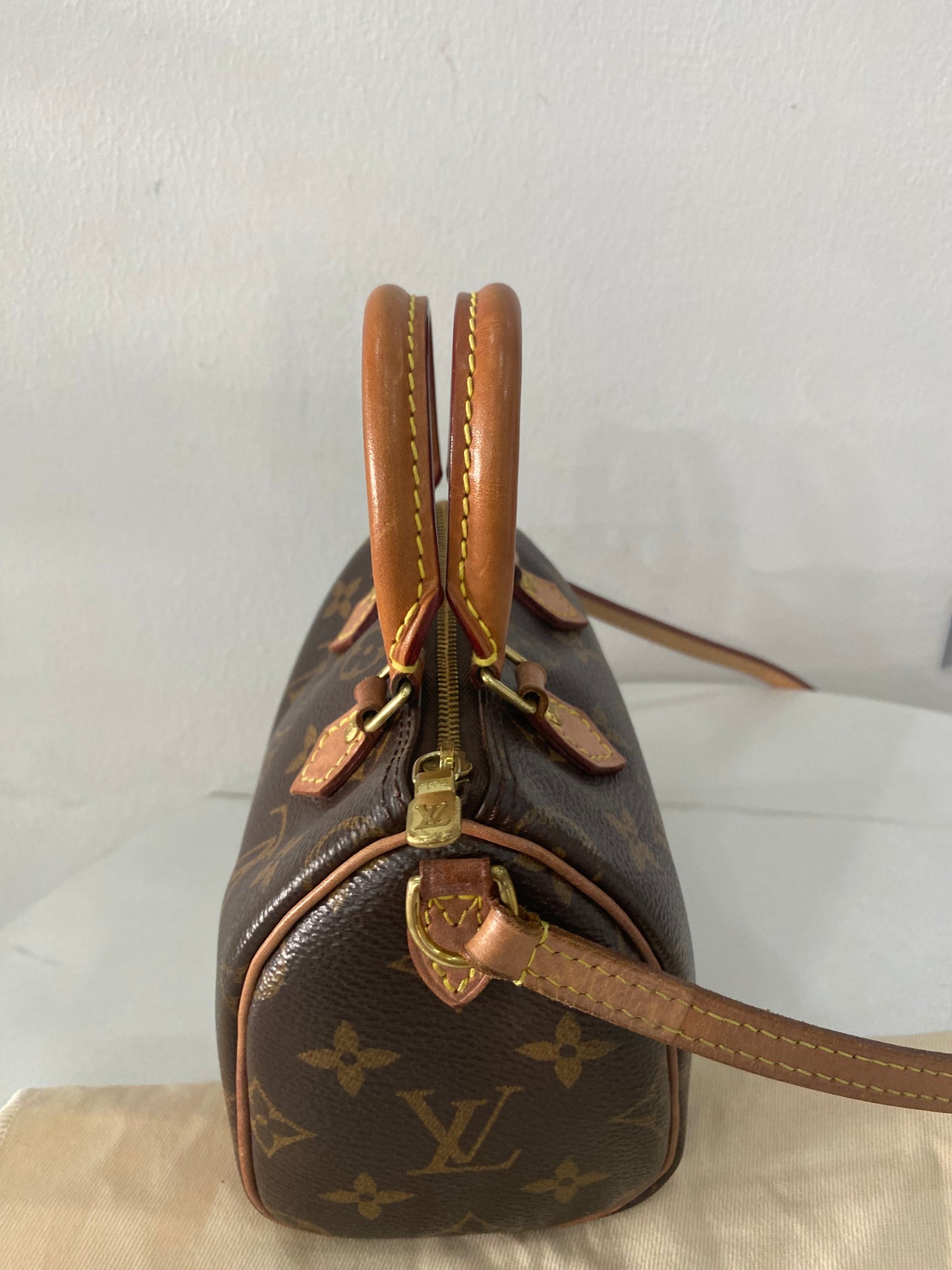 Borsa Louis Vuitton Nano Speedy