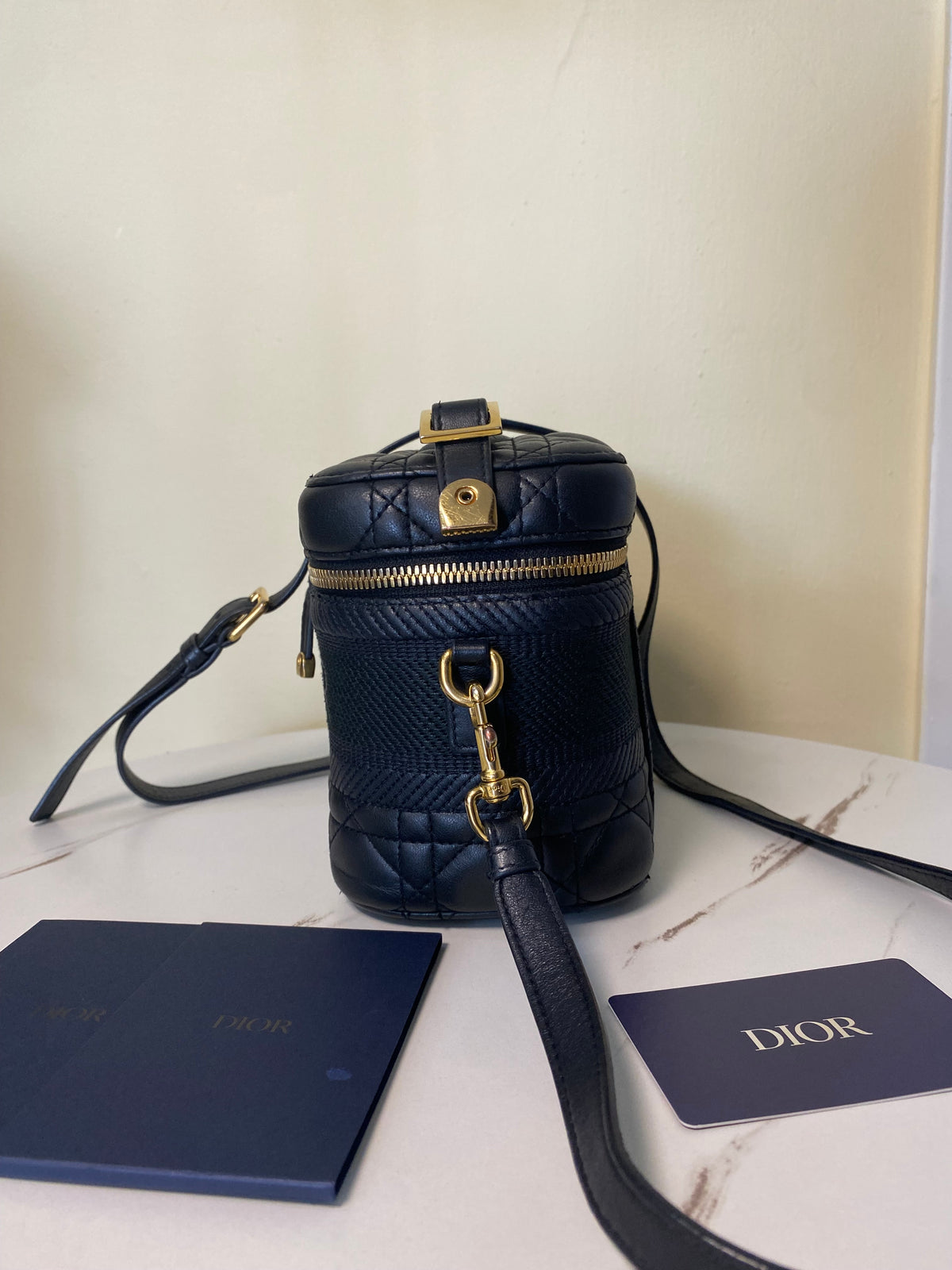 Borsa Dior Vanity Case