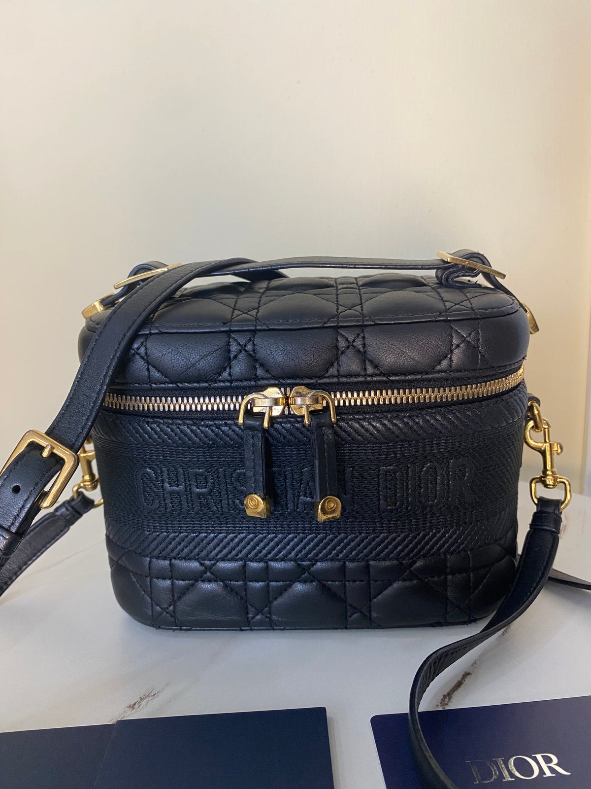Borsa Dior Vanity Case