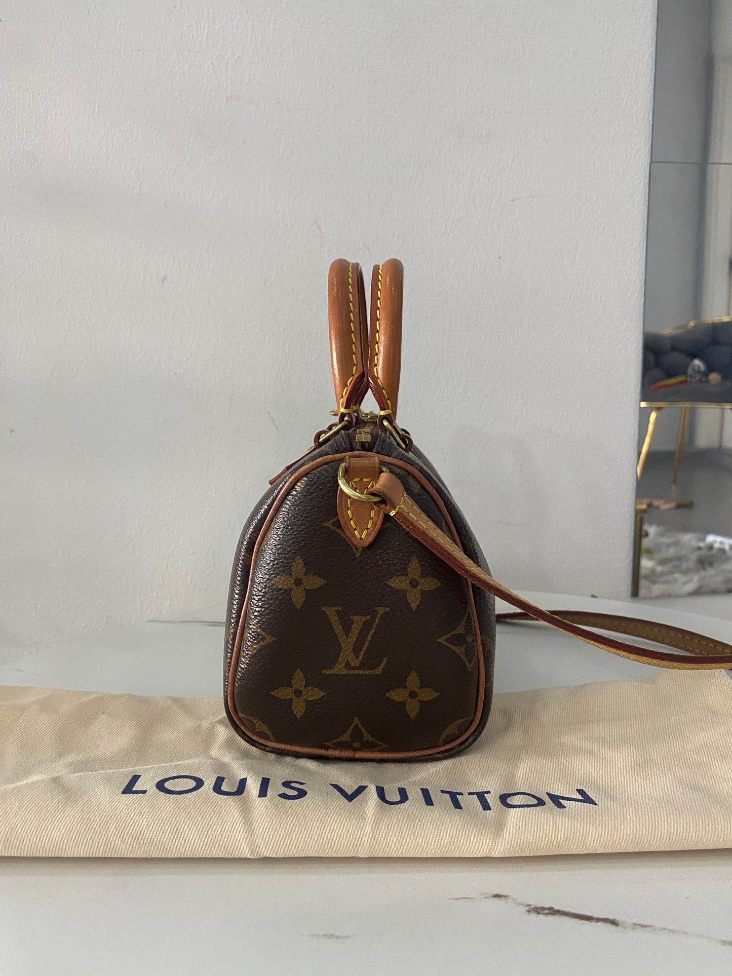 Borsa Louis Vuitton Nano Speedy