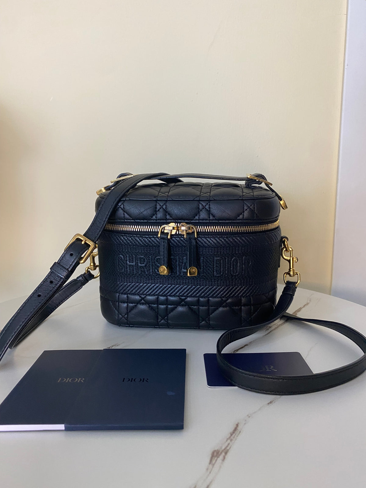 Borsa Dior Vanity Case